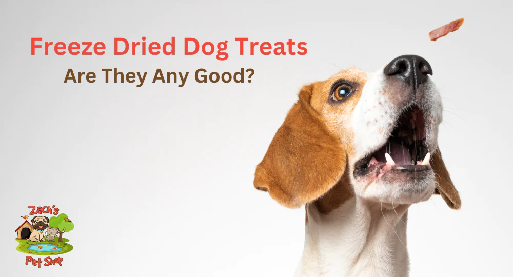 Freeze-Dried Dog Treats vs Dehydrated Dog Treats