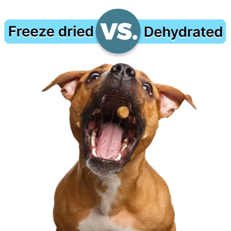 Freeze Dried Dog Treats vs. Dehydrated Dog Treats