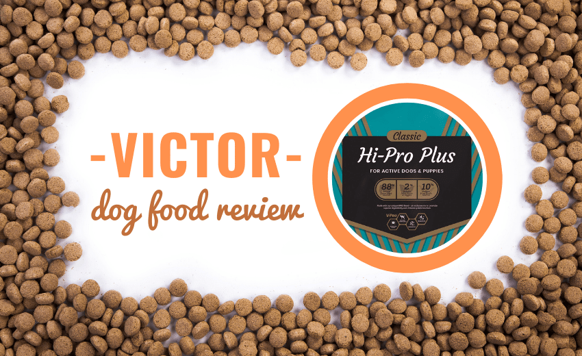 is victor dog food good for German shepherds