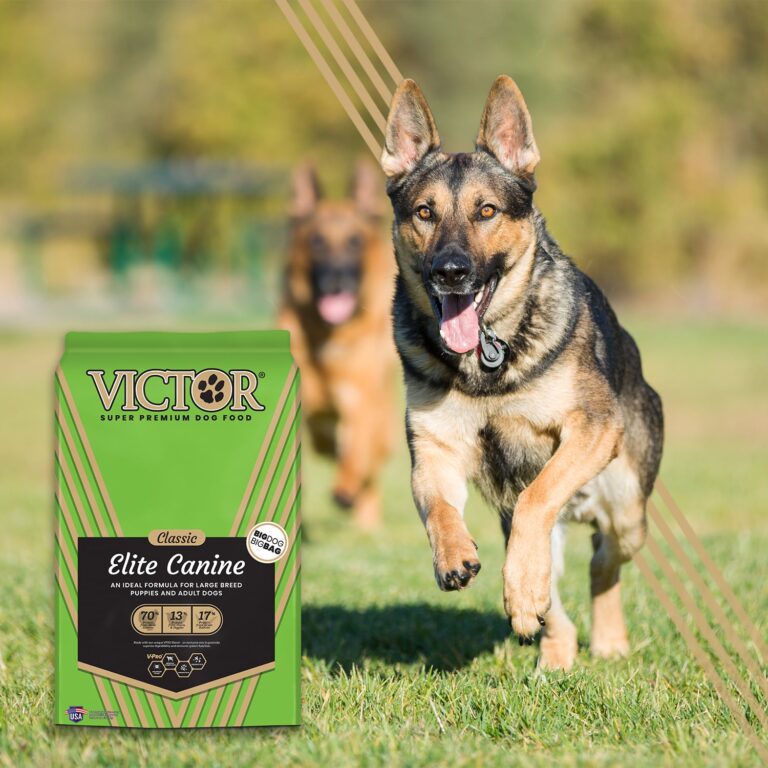 Is Victor dog food good for German Shepherds