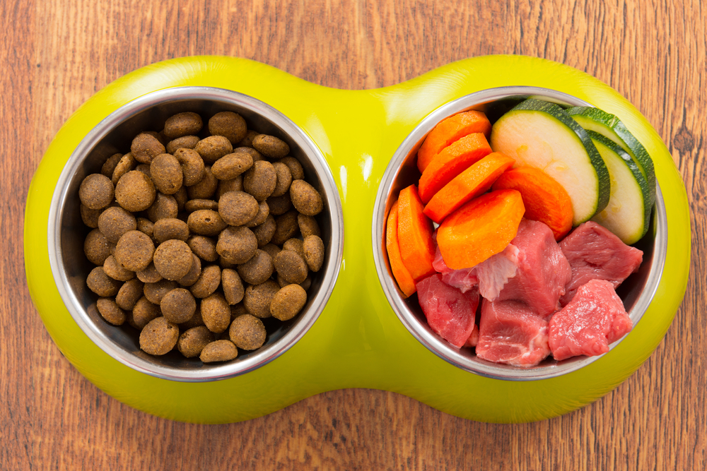 Homemade Dog Food VS Commercial Dog Food