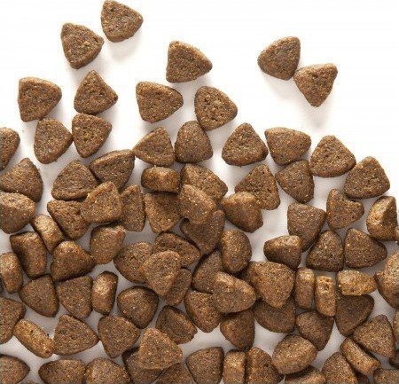 canineX Dog Food