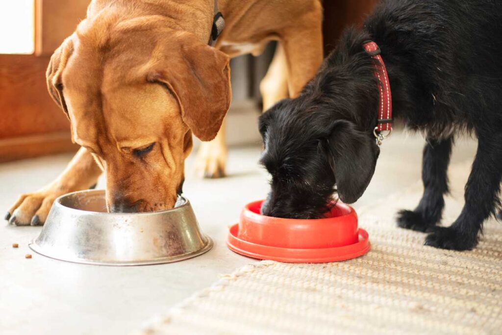 Inukshuk Dog Food
