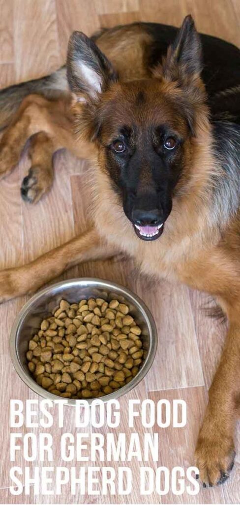 Grain-free dog food for German Shepherds