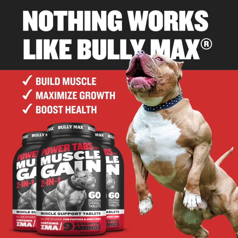 bully max muscle builder